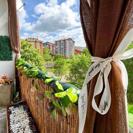 Apartament Sova Vrsac Zewnętrze zdjęcie