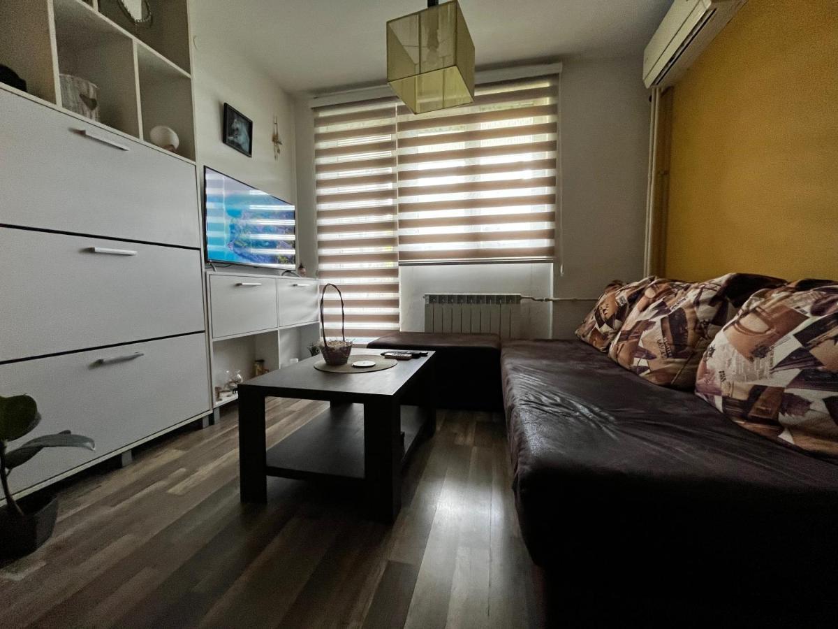 Apartament Sova Vrsac Zewnętrze zdjęcie