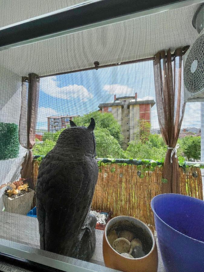 Apartament Sova Vrsac Zewnętrze zdjęcie