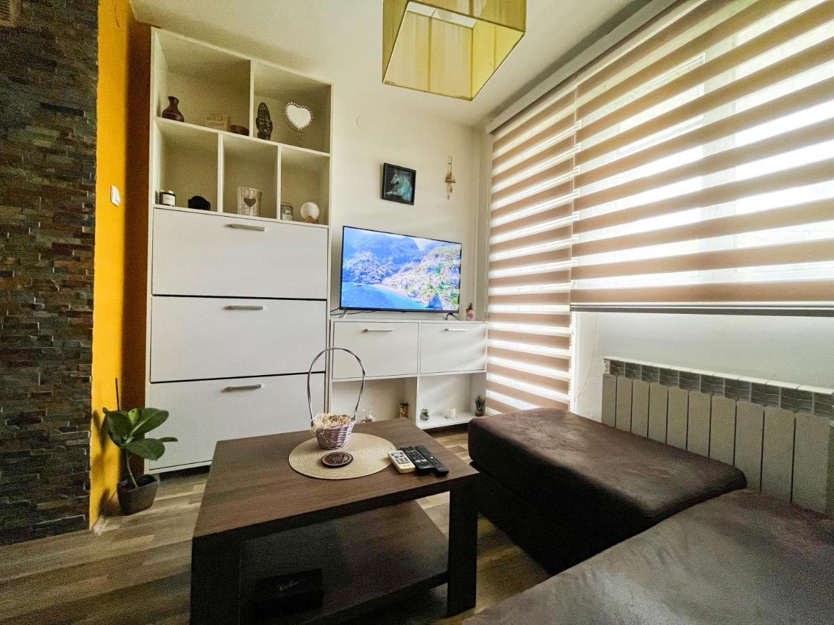 Apartament Sova Vrsac Zewnętrze zdjęcie