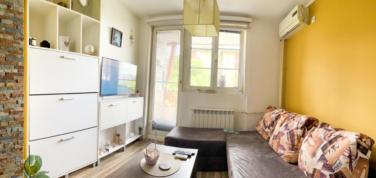 Apartament Sova Vrsac Zewnętrze zdjęcie